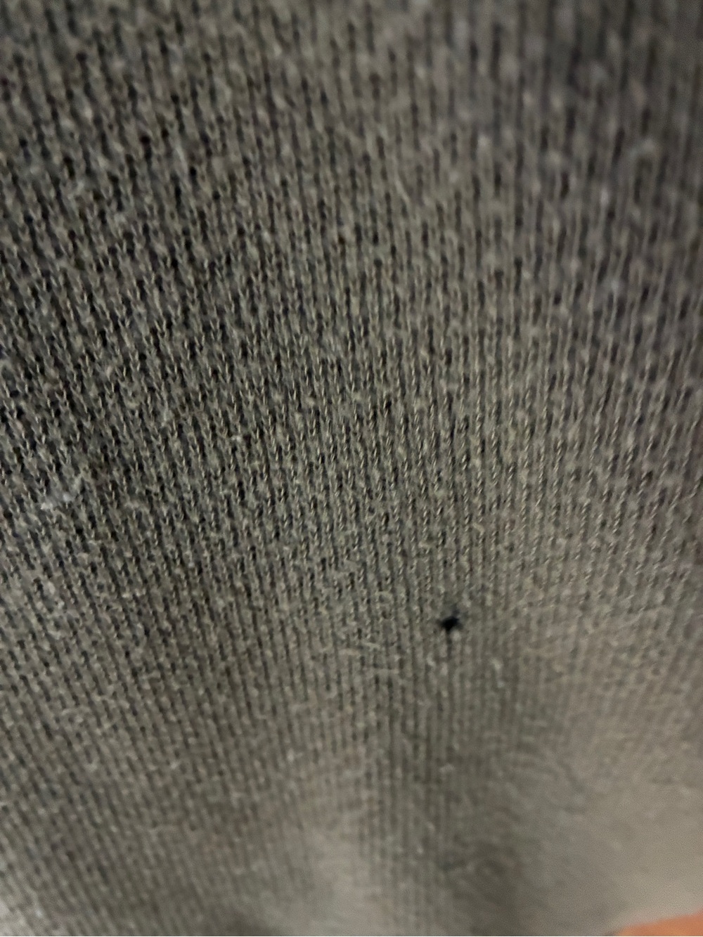 Free People Olive Green Washed Zip-Up Hoodie - Picture 5 of 5